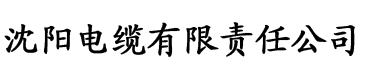 香蕉视频禁十八久久电缆厂logo